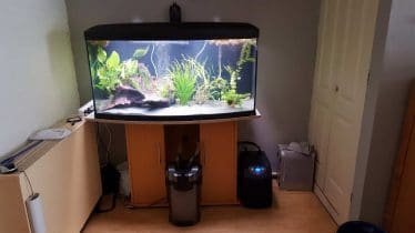 axolotl aquarium.
Tetra EX 1200 Plus externe filter.
DD Aquarium Koeler Dc-300 Tot 300ltr.
Eheim 400 luchtpomp en ballen.