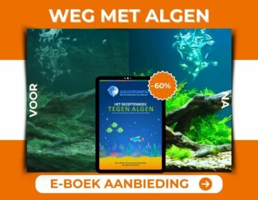 Algen bestrijden met het eboek receptenboek tegen algen