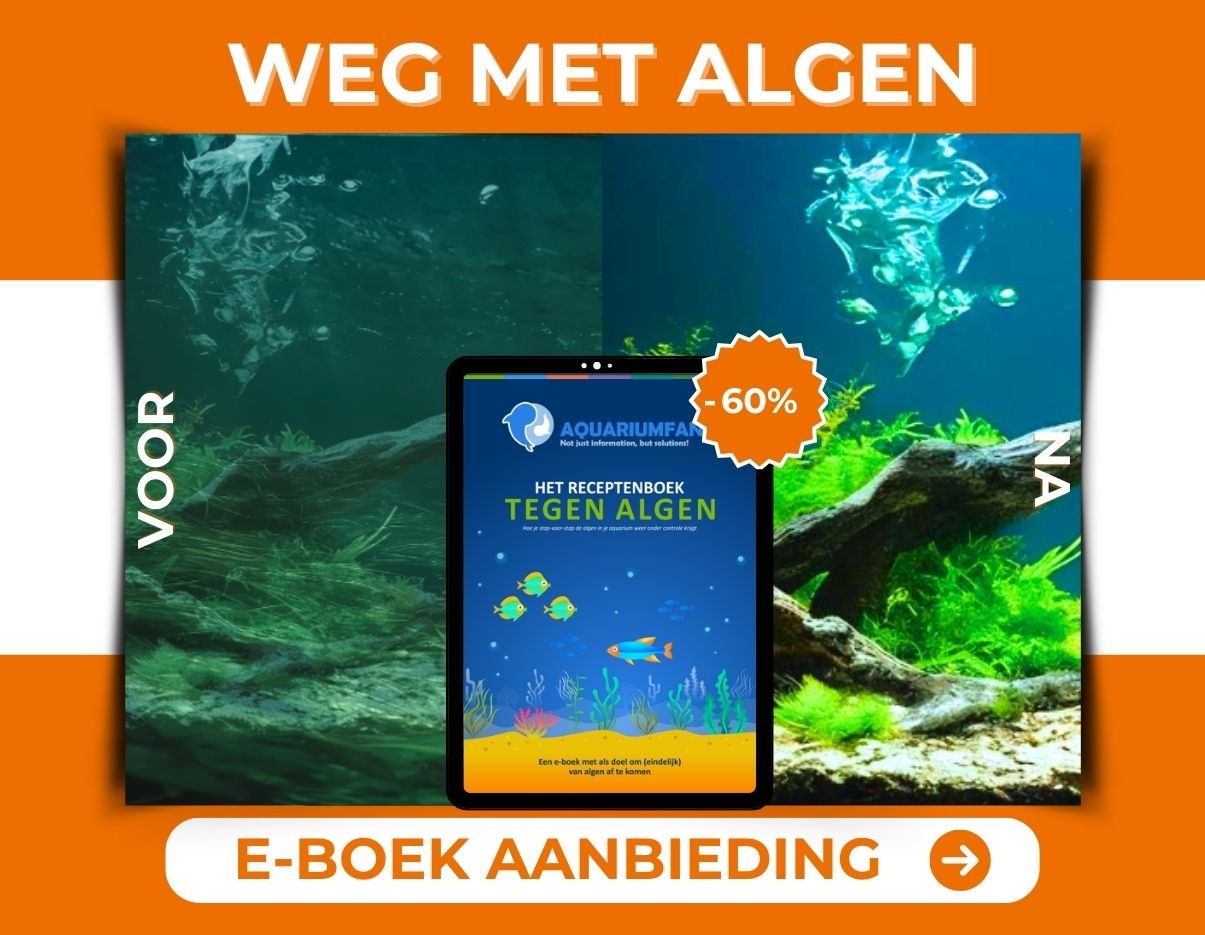 Algen bestrijden met het eboek receptenboek tegen algen