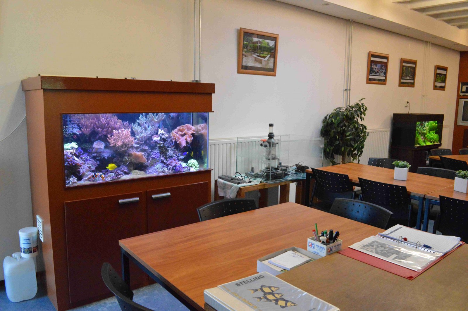 aquarium en vijververeniging de Natuur in Huis Zwijndrecht