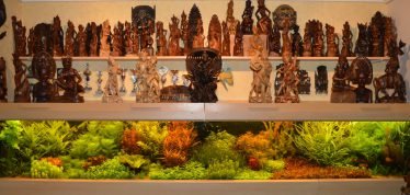 Paluzee Al drie jaren op rij clubkampioen.