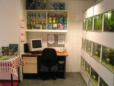 Aquariumvereniging in Alblasserdam