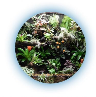 Aquariumvereniging Natuur in Huis