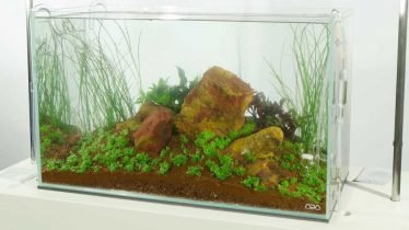 Akadama aquarium