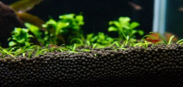Aquasoil aquasoils in het aquarium