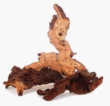 Mopani wood in het aquarium