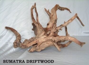 Sumatra Driftwood in het aquarium