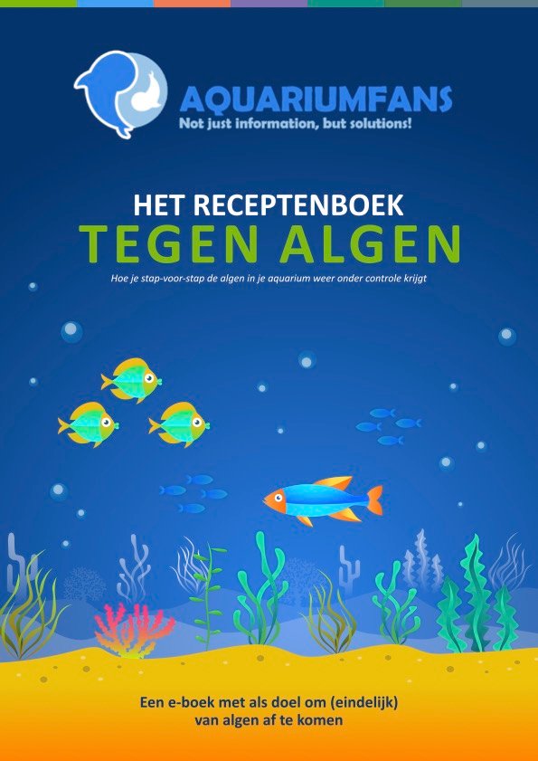het receptenboek tegen algen