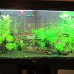 Beetje verwaarloosd 2