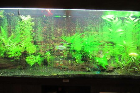 Beetje verwaarloosd 2