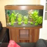 Deze keer nog zonder bevolking