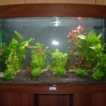 Een close up van de net beplante bak