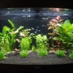 Een eerste indruk van de bak incl. bewoners