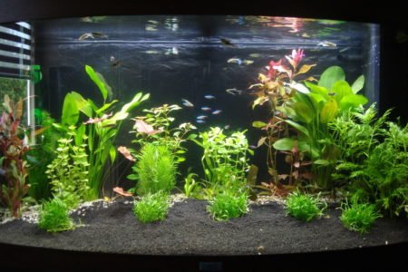 Een eerste indruk van de bak incl. bewoners