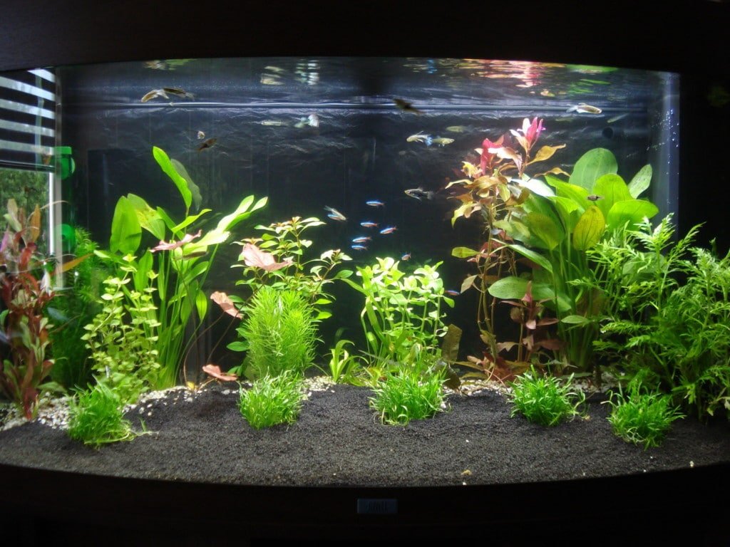 Een eerste indruk van de bak incl. bewoners