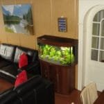 Een estetisch overzicht