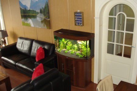 Een estetisch overzicht