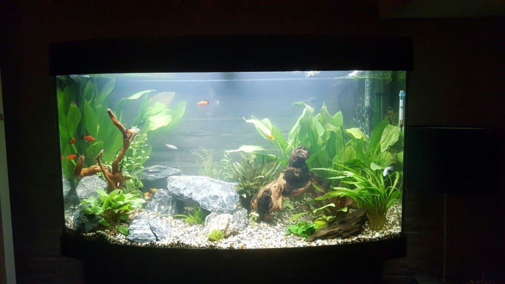 Een indruk van mijn Juwel Vision 180