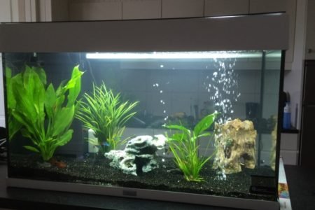2e aquarium