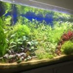 Foto vanaf de zijkant