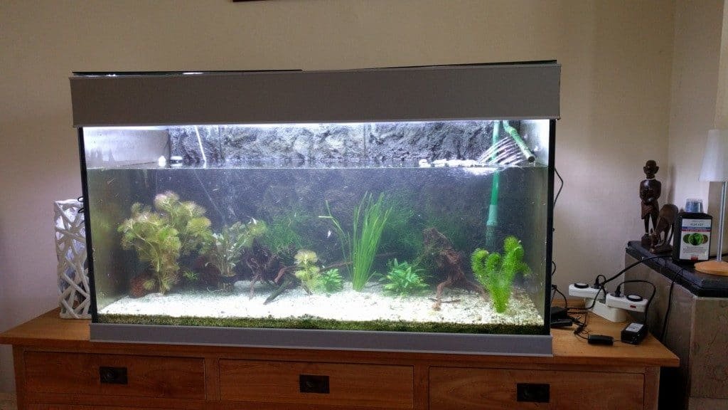 nieuwe LED lampen