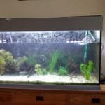 nieuwe LED lampen