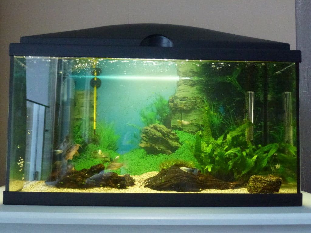 Mijn bakje
