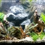 Aquarium 12 11 2016 1