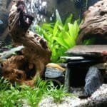 Aquarium 12 11 2016 6