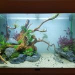 Bak net ingericht en gevuld