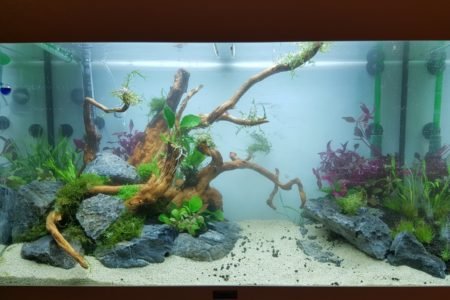 Bak net ingericht en gevuld