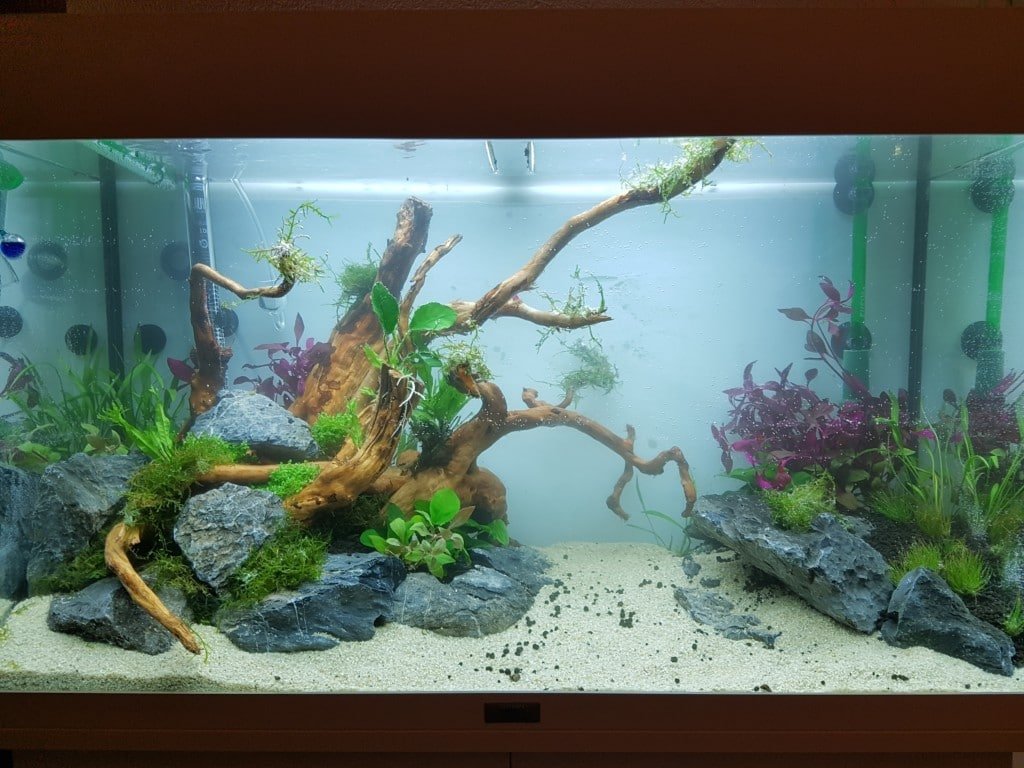 Bak net ingericht en gevuld