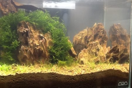 Hey leuk dat je even kijkt naar mijn aquarium Ik Ben 14 jaar