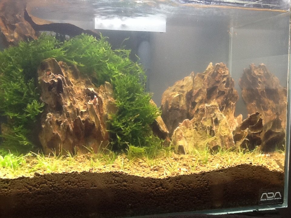 Hey leuk dat je even kijkt naar mijn aquarium Ik Ben 14 jaar