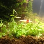 Hiero nog een crystal