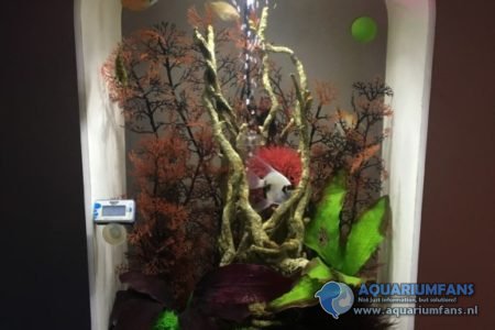 Volledige originele Biorb aquarium met alle accessoires origineel van Biorb zelf te koop.