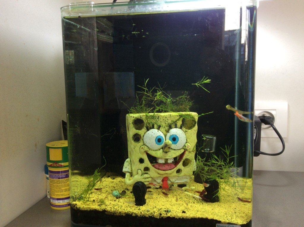 Kindvriendelijk bakje