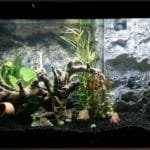 Modern open Aquarium