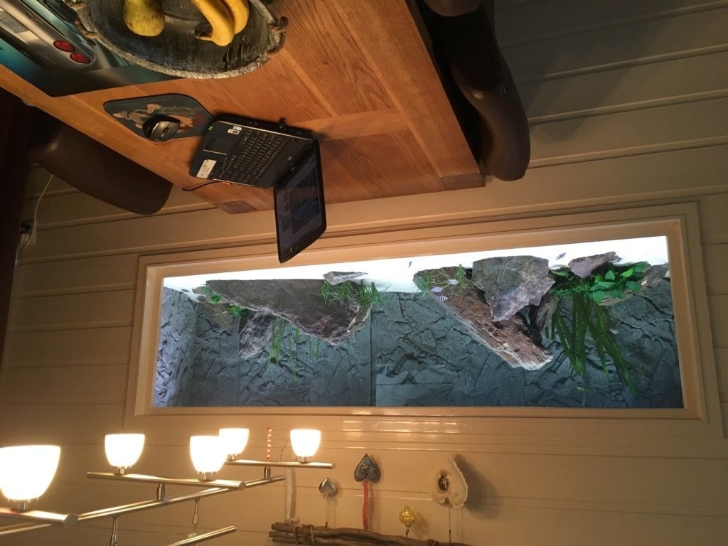 Ingebouwd aquarium