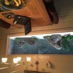 Ingebouwd aquarium