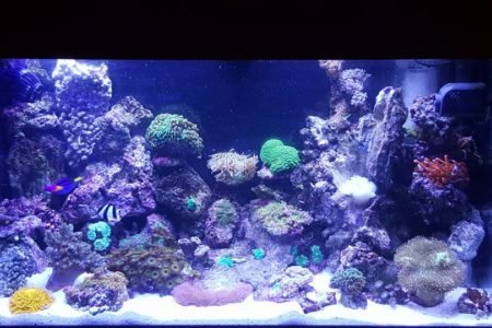 zout bakkie 4 maanden oud