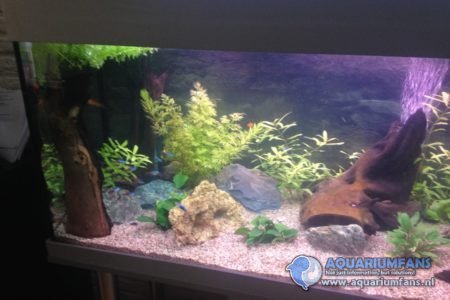 AQUARIUM PAS INGERICHT