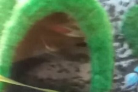 Een Neon in het huisje