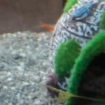 Een neon onder de filter