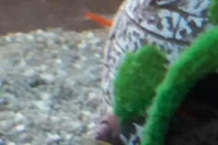 Een neon onder de filter