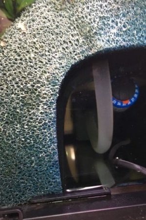 het filter ipv grote orginele bluwave 03