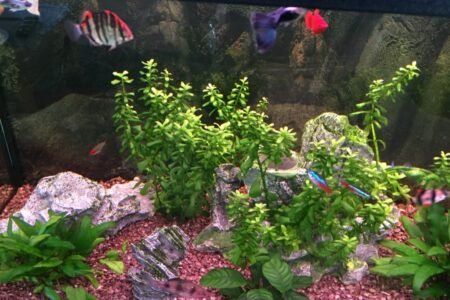 Zie de vele kleurtjes