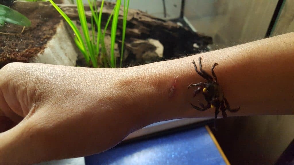 lopen over je arm