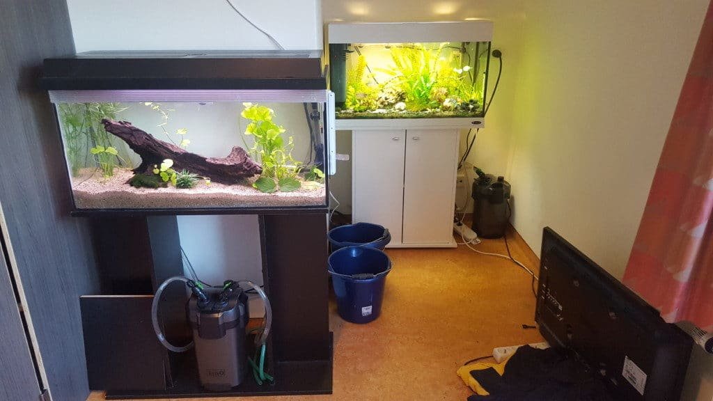 2 aquariums