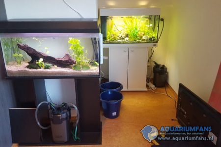 2 aquariums